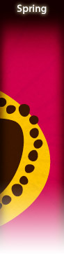 iStockphoto.com friztin's Spring lightbox