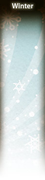 bsw01