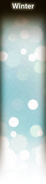 iStockphoto.com friztin's Winter lightbox