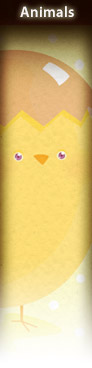 iStockphoto.com friztin's Animals lightbox