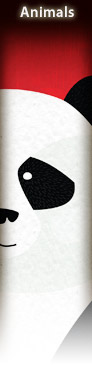 bta08