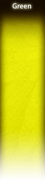iStockphoto.com friztin's Green lightbox